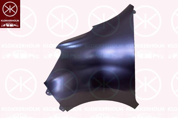 Wing, Left Front, 63 10 135 82R (RENAULT)