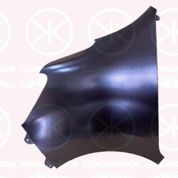 Wing, Left Front, 63 10 135 82R (RENAULT)