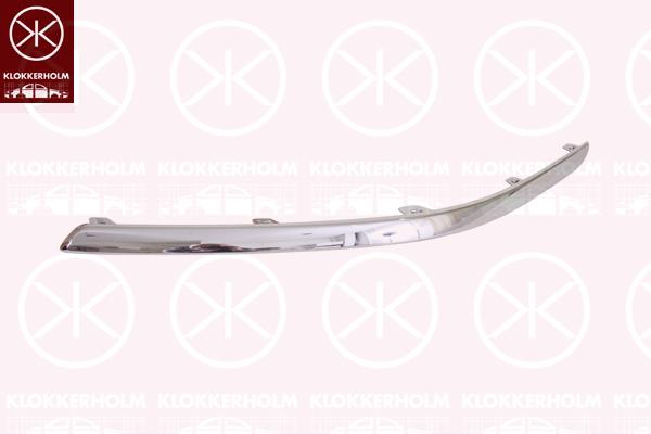 Trim/Protection Strip, bumper, chrome, Left Front, DPR100890 (ROVER), DPR100890MMM (ROVER)