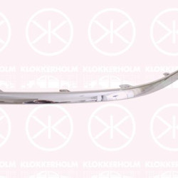 Trim/Protection Strip, bumper, chrome, Left Front, DPR100890 (ROVER), DPR100890MMM (ROVER)