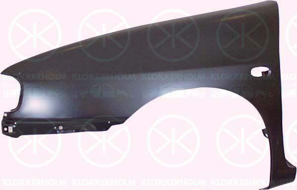 Wing, oval, Left Front, with hole for direction indicator, 6K0821021B (SEAT)