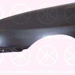 Wing, oval, Left Front, with hole for direction indicator, 6K0821021B (SEAT)