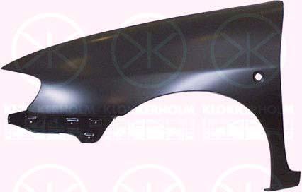 Wing, Right Front, with hole for direction indicator, 6K0821022D (SEAT)