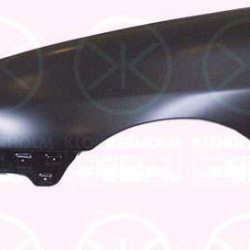 Wing, Right Front, with hole for direction indicator, 6K0821022D (SEAT)