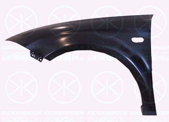 Wing, Left Front, with hole for direction indicator, Zinc-coated, 1P0821021 (SEAT), 1P0821021A (SEAT)