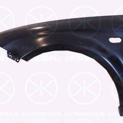 Wing, Left Front, with hole for direction indicator, Zinc-coated, 1P0821021 (SEAT), 1P0821021A (SEAT)