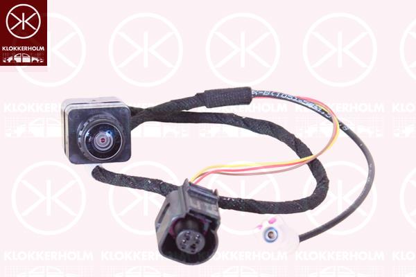 Rear View Camera, parking distance control, Rear Section, 3Q0980121P (SEAT)