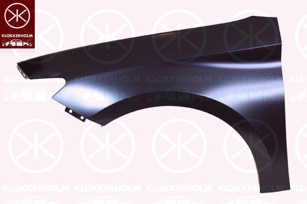 Wing, Left Front, 5FA821021 (SEAT), 5FA821021C (SEAT)