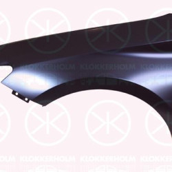 Wing, Left Front, 5FA821021 (SEAT), 5FA821021C (SEAT)