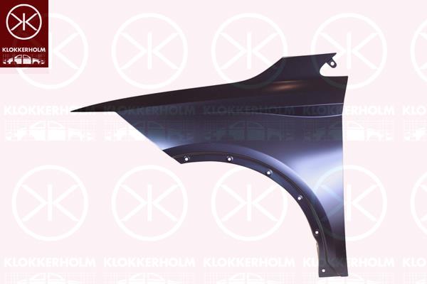 Wing, Left Front, 6F9821105B (SEAT)