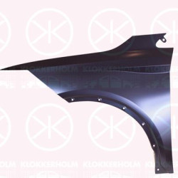 Wing, Left Front, 6F9821105B (SEAT)