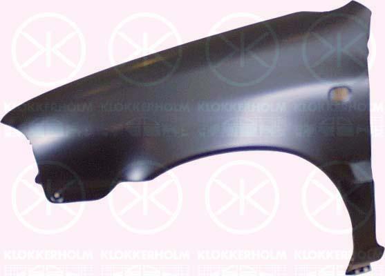 Wing, Right Front, with hole for direction indicator, 57611M79G10000 (SUZUKI), 57711M70F00A (SUZUKI), 57711M70F00A0 (SUZUKI)