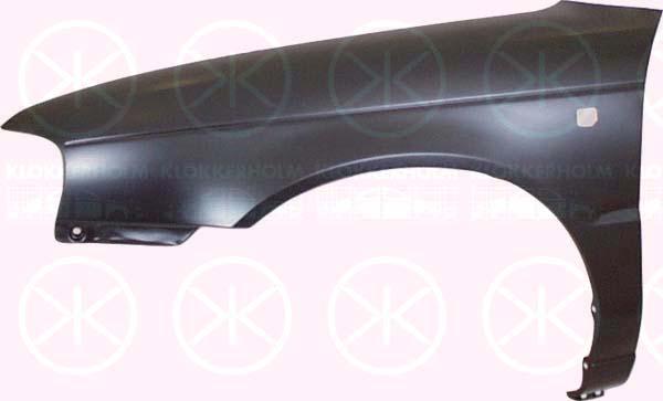 Wing, Right Front, with hole for direction indicator, 5761160G00000 (SUZUKI), 57611-60G00-000 (SUZUKI)