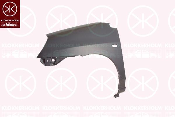 Wing, Left Front, without holes for trim/protective strip, with hole for direction indicator, 5761154G00 (SUZUKI), 5761154G00000 (SUZUKI), 5770054810000 (SUZUKI), 5770054811000 (SUZUKI), 57711-54G00-000 (SUZUKI), 5771154G01000 (SUZUKI)