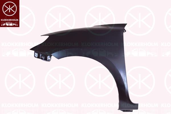 Wing, Right Front, 5761153R10000 (SUZUKI), 57611-53R11-000 (SUZUKI)