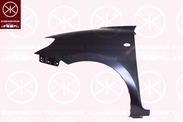 Wing, Left Front, with hole for direction indicator, 5771153R00000 (SUZUKI), 57711-53R01-000 (SUZUKI)