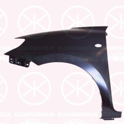 Wing, Left Front, with hole for direction indicator, 5771153R00000 (SUZUKI), 57711-53R01-000 (SUZUKI)