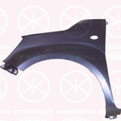 Wing, Right Front, with hole for direction indicator, 5761162R00000 (SUZUKI)