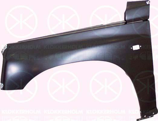 Wing, 2-dr, Left Front, with hole for direction indicator, 58800-60A21 (SUZUKI), 5880060A21000 (SUZUKI), 58800-60A31 (SUZUKI), 5880060A31000 (SUZUKI)