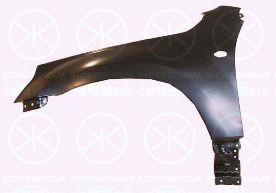 Wing, Right Front, with hole for direction indicator, 57610-65J10 (SUZUKI), 5761065J10000 (SUZUKI)