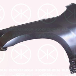 Wing, Left Front, without hole for direction indicator, 57700-65810 (SUZUKI), 5770065810000 (SUZUKI)