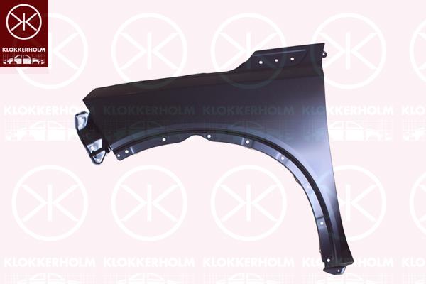 Wing, Left Front, 57711-54P00-000 (SUZUKI)