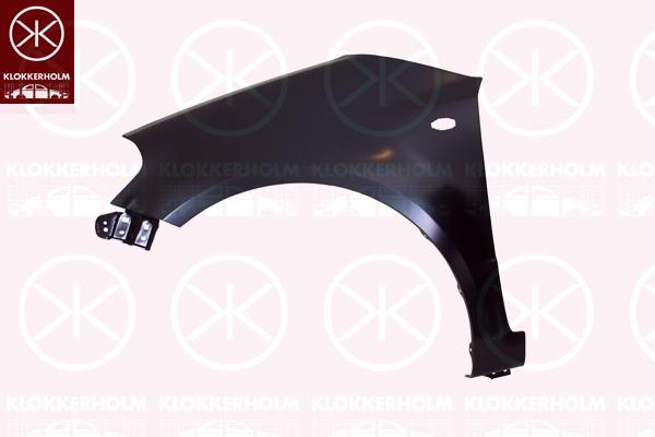 Wing, Right Front, with hole for direction indicator, 0000071742876 (FIAT), 5761179J00000 (SUZUKI), 57611-80Z20 (SUZUKI), 5761180Z20000 (SUZUKI), 71742876 (FIAT)