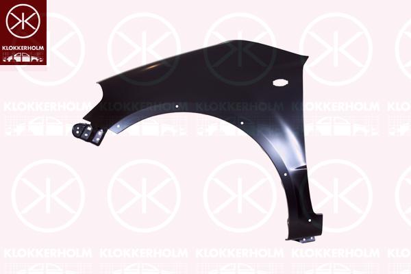 Wing, Right Front, with holes for extensions, with hole for direction indicator, 57600-80890 (SUZUKI), 57600808900 (SUZUKI), 5760080890000 (SUZUKI), 5760081810000 (SUZUKI), 57611-80J30 (SUZUKI), 5761180J30000 (SUZUKI)