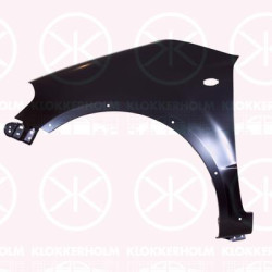 Wing, Right Front, with holes for extensions, with hole for direction indicator, 57600-80890 (SUZUKI), 57600808900 (SUZUKI), 5760080890000 (SUZUKI), 5760081810000 (SUZUKI), 57611-80J30 (SUZUKI), 5761180J30000 (SUZUKI)