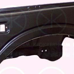 Wing, SJ410, Left Front, 58880080021 (SUZUKI), 5888008002100 (SUZUKI)