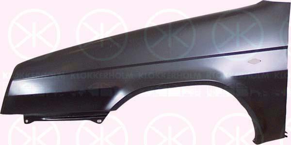 Wing, Right Front, with hole for direction indicator, 115710120 (SKODA)