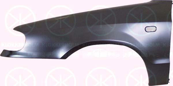 Wing, Left Front, with hole for direction indicator, 098901241 (SKODA)