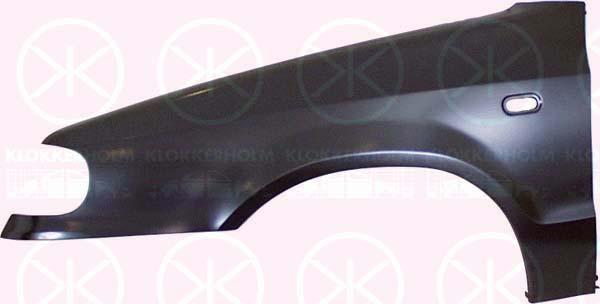 Wing, Right Front, with hole for direction indicator, 6U0821022 (SKODA)