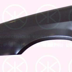 Wing, Right Front, with hole for direction indicator, 6U0821022 (SKODA)