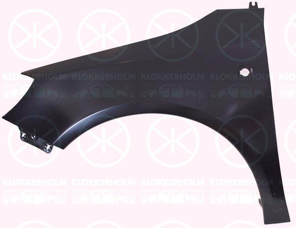 Wing, Steel, Left Front, with hole for direction indicator, 5J0821021 (SKODA)