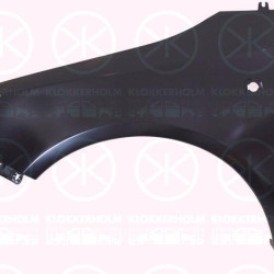 Wing, Steel, Left Front, with hole for direction indicator, 5J0821021 (SKODA)