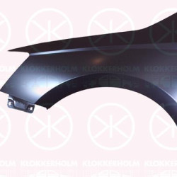 Wing, Left Front, 6V0821105 (SKODA)