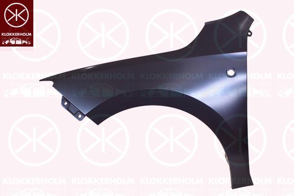 Wing, Left Front, with hole for direction indicator, 5JA821021B (SKODA), 5JA821021C (SKODA)