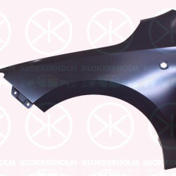 Wing, Left Front, with hole for direction indicator, 5JA821021B (SKODA), 5JA821021C (SKODA)