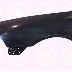 Wing, Left Front, 1Z0821105A (SKODA)