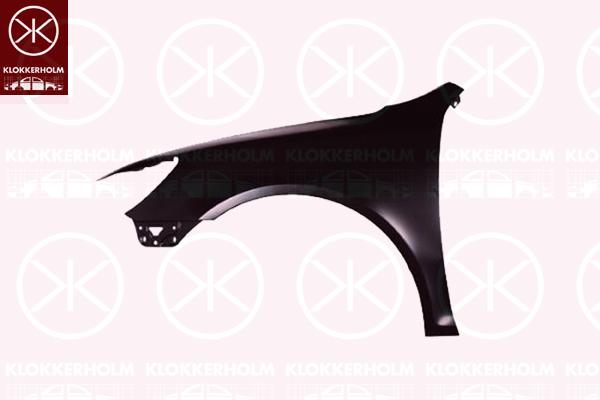 Wing, Left Front, 1Z0821105C (SKODA)