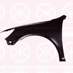 Wing, Left Front, 1Z0821105C (SKODA)