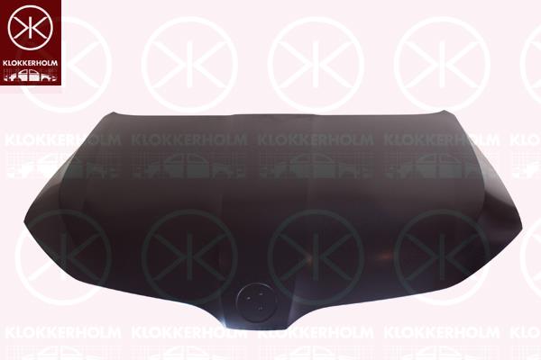 Bonnet, Zinc-coated, 5E0823031A (SKODA), 5E0823031B (SKODA)