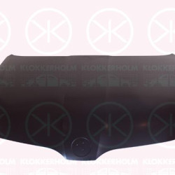 Bonnet, Zinc-coated, 5E0823031A (SKODA), 5E0823031B (SKODA)