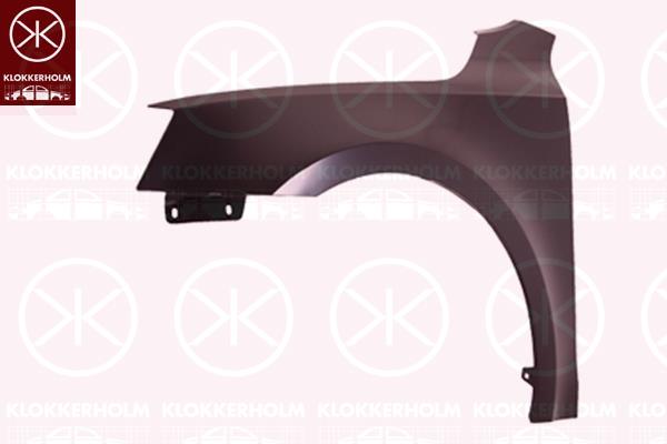 Wing, Left Front, 5E0821105A (SKODA), 5E0821105B (SKODA)