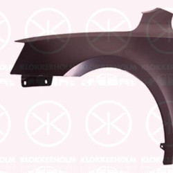 Wing, Left Front, 5E0821105A (SKODA), 5E0821105B (SKODA)