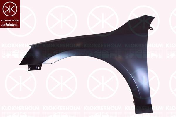 Wing, Left Front, without hole for direction indicator, Zinc-coated, 5E0821105C (SKODA)