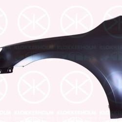 Wing, Left Front, without hole for direction indicator, Zinc-coated, 5E0821105C (SKODA)