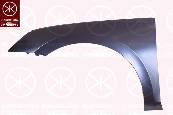 Wing, Left Front, 5E3821105B (SKODA)