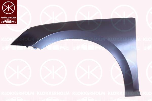 Wing, Left Front, 5E3821105B (SKODA)